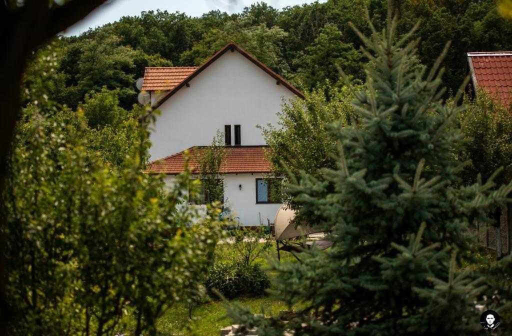 Vilafrancisca10 Gyulafehérvár Kültér fotó